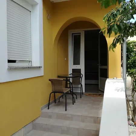 Lili Zadar